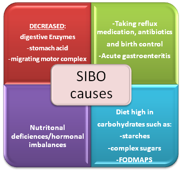 SIBO causes