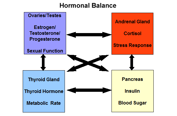 hormonal balance
