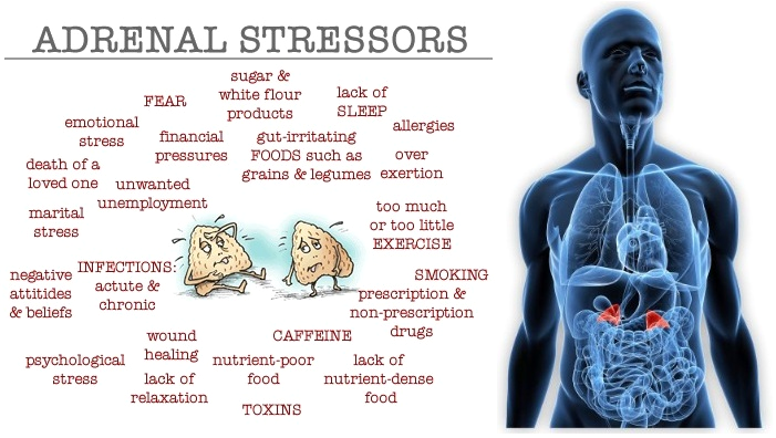 adrenal stressors