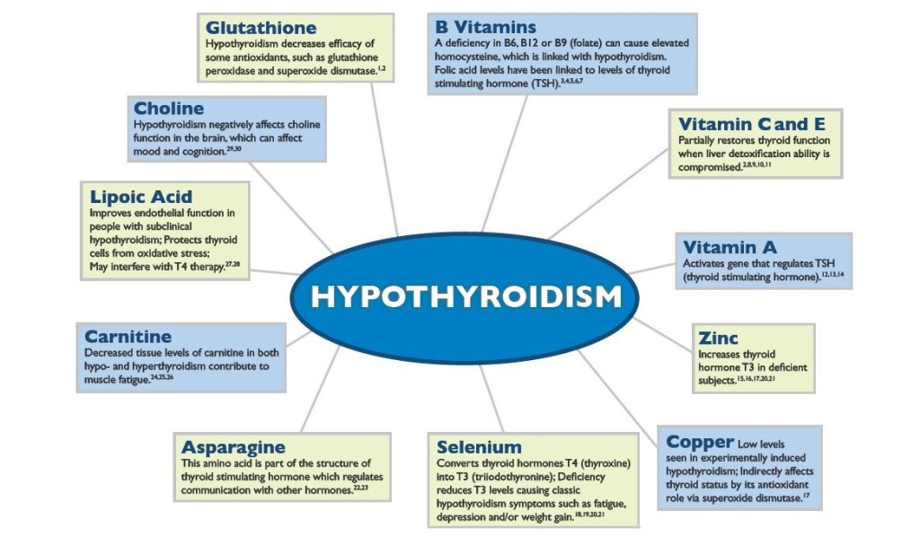 thyroid-nutrition-1