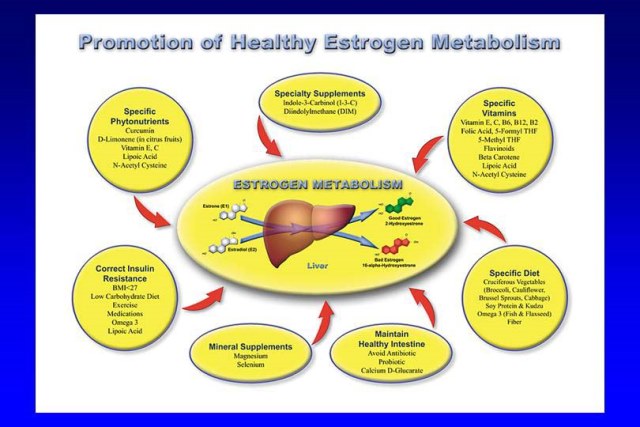 estrogen-metabolism