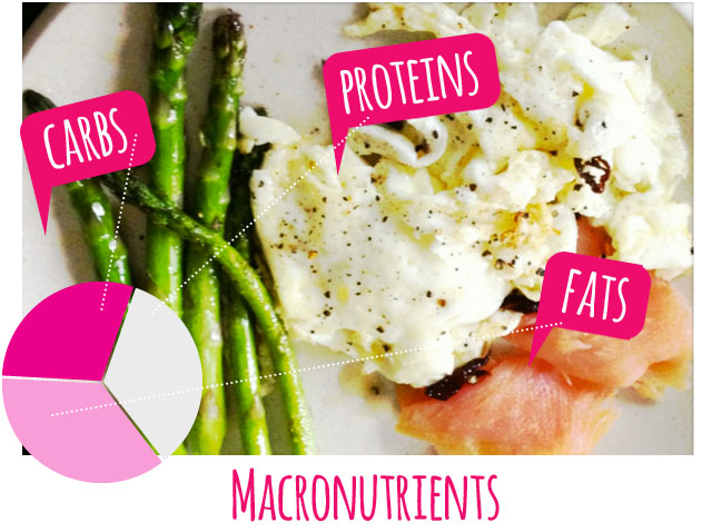 macronutrients-carbs-proteins-fats