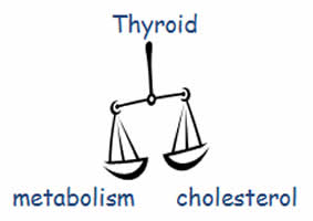 High Cholesterol and Hypothyroidism