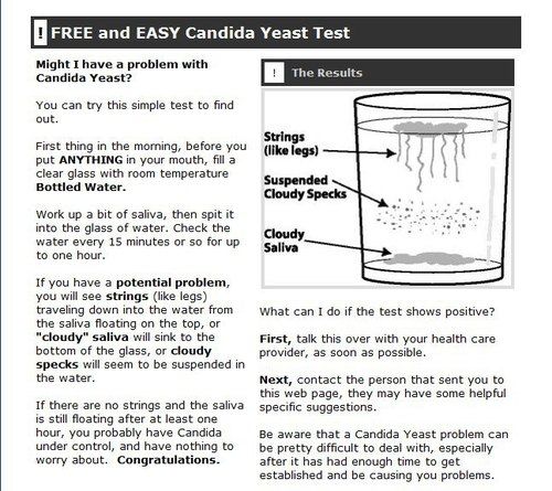 candida yeast test