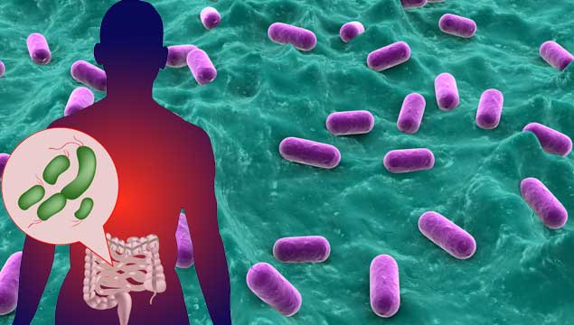 https://justinhealth.com/wp-content/uploads/2015/09/Gut-Bacteria-Microbiome1.jpg