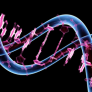 dna-double-helix-184x184.png - Austin Texas Functional Medicine and ...