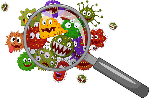 Vector illustration of Cartoon bacteria under a magnifying glass