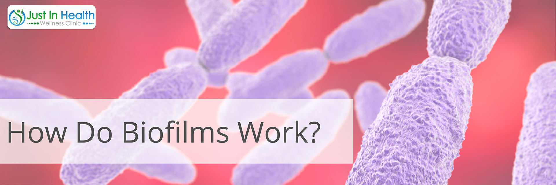 How do biofilms work?