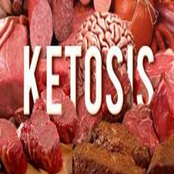 Using ketosis to lose weight and improve your health