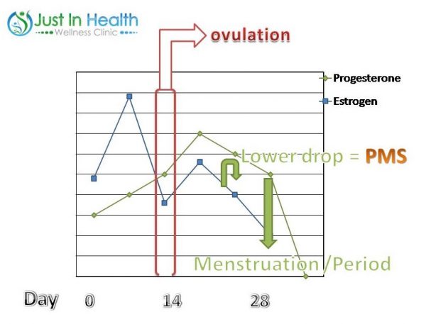 ovulation cycle2