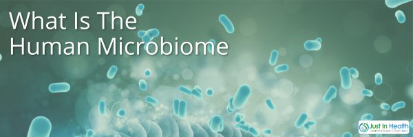Biome Building: Rebuilding the Microbiome