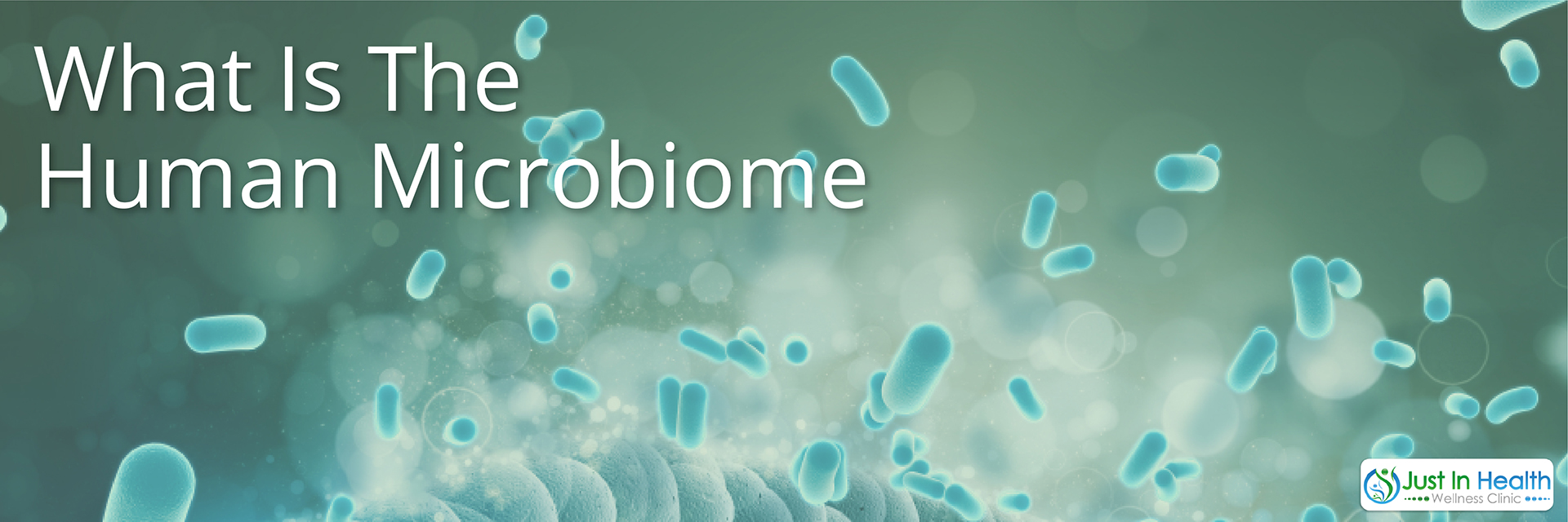 Biome Building: Rebuilding the Microbiome