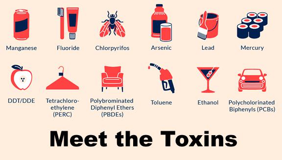 types-of-toxins - Austin Texas Functional Medicine and Nutrition