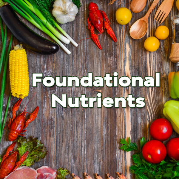Foundational Nutrients for your Health