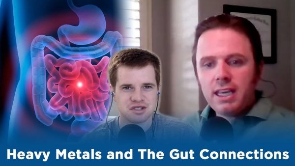Heavy Metals and the Gut Connections