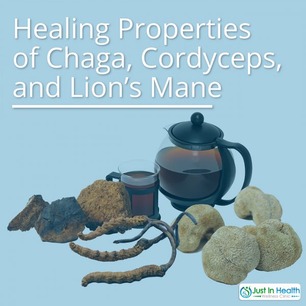 Healing Properties of Chaga, Cordyceps, and Lion’s Mane