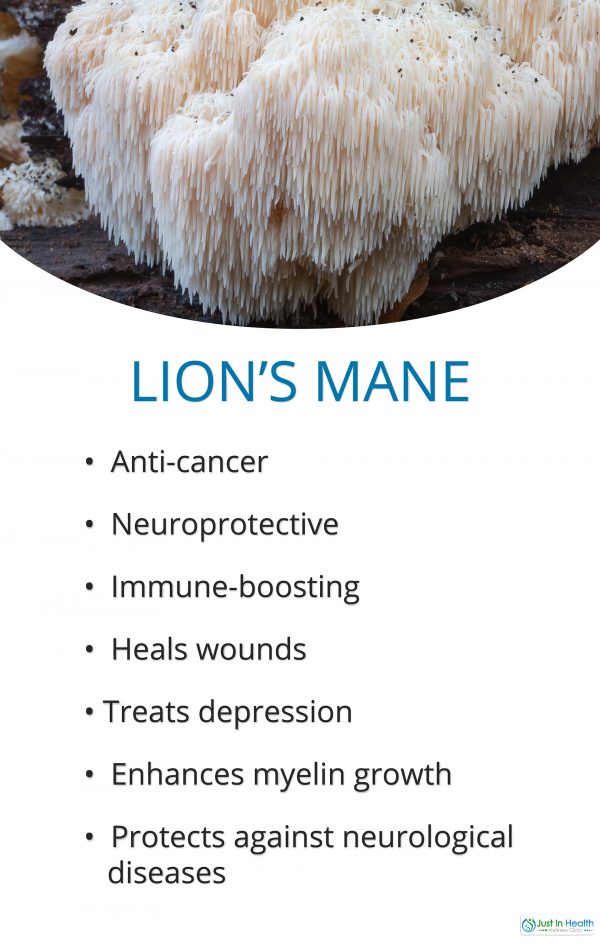 Healing Properties of Chaga, Cordyceps, and Lion’s Mane Just In Health