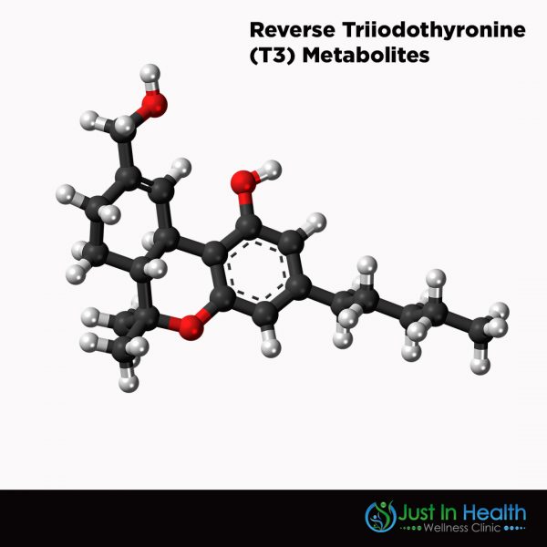 Reverse Triiodothyronine (T3) Metabolites Square