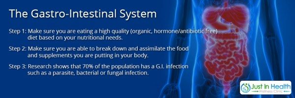 The-Gastrointestinal-System