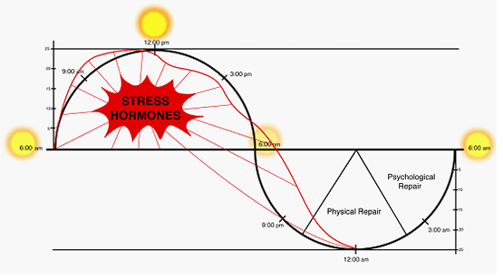 Cortisol and it’s Circadian Rhythm 