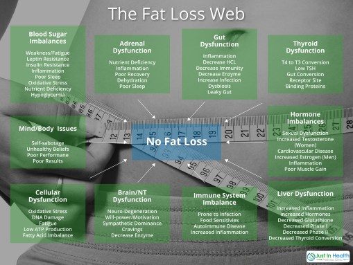 The Fat Loss Web