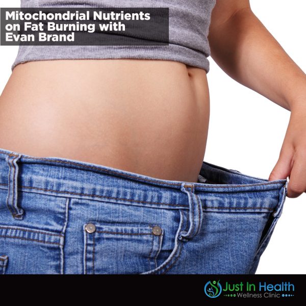 Mitochondrial Nutrients on Fat Burning with Evan Brand Square