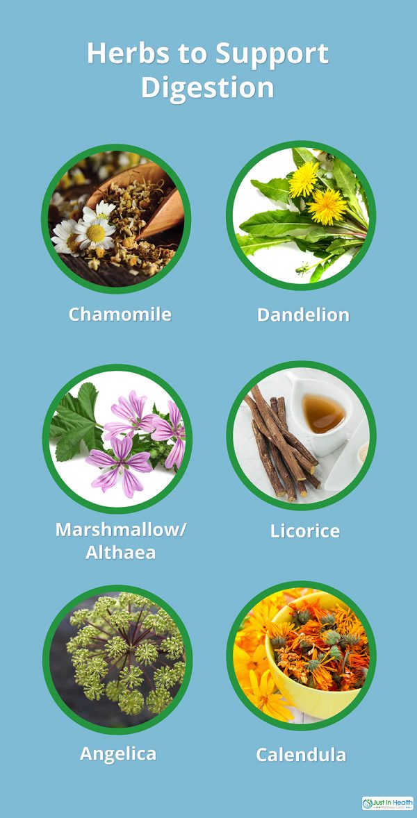 Herbs to Support Digestion | Functional Medicine | Just In Health