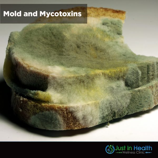 Mold and Mycotoxins Square