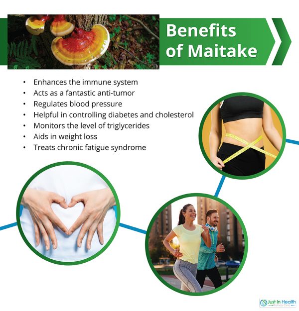 Healing Properties of Reishi, Maitake, and Turkey Tail Just In Health