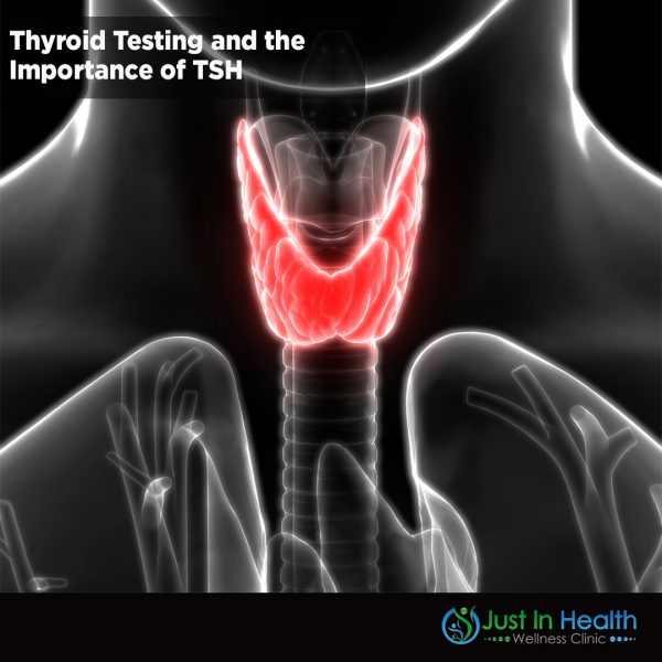 Thyroid Testing and the Importance of TSH_sqr