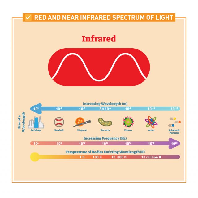The Benefits of Red Light Therapy