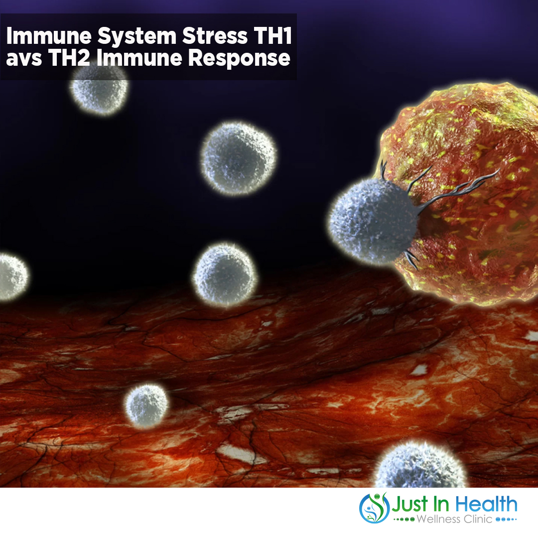 Immune System Stress TH1 avs TH2 Immune Response Podcast