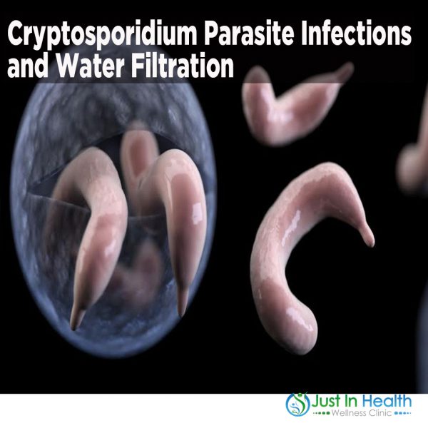 Cryptosporidium Parasite Infections and Water Filtration