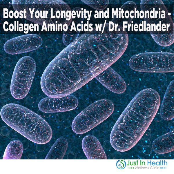 Boost Your Longevity and Mitochondria - Collagen Amino Acids with Dr