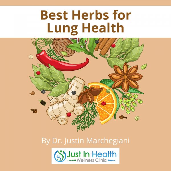 Best-Herbs-Lung_01