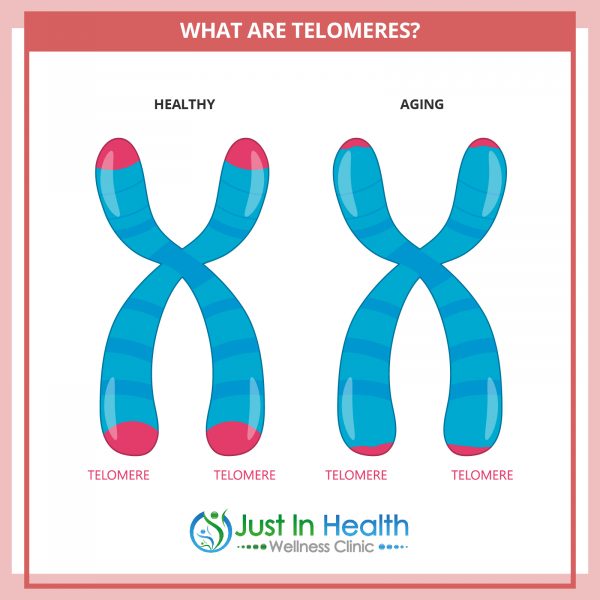 Telomeres-DNA_02