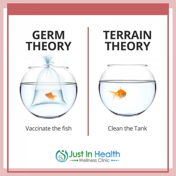 Germ-Terrain-Theory_02_