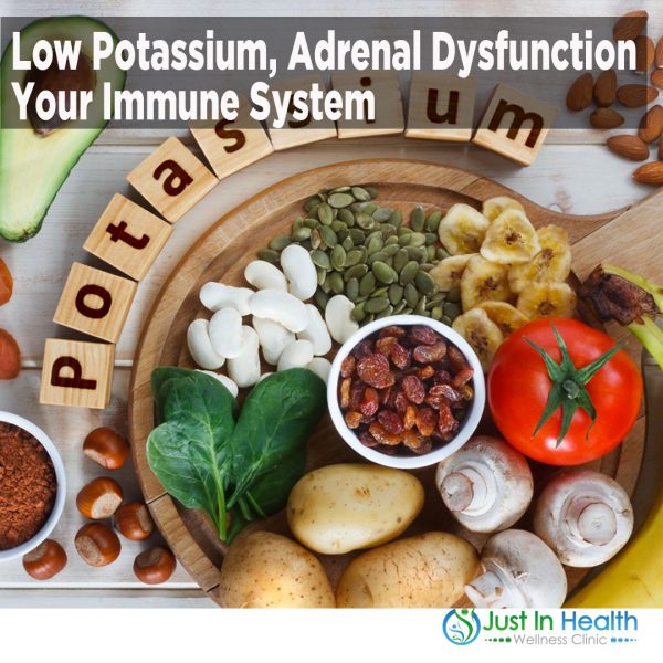 low potassium adrenal
