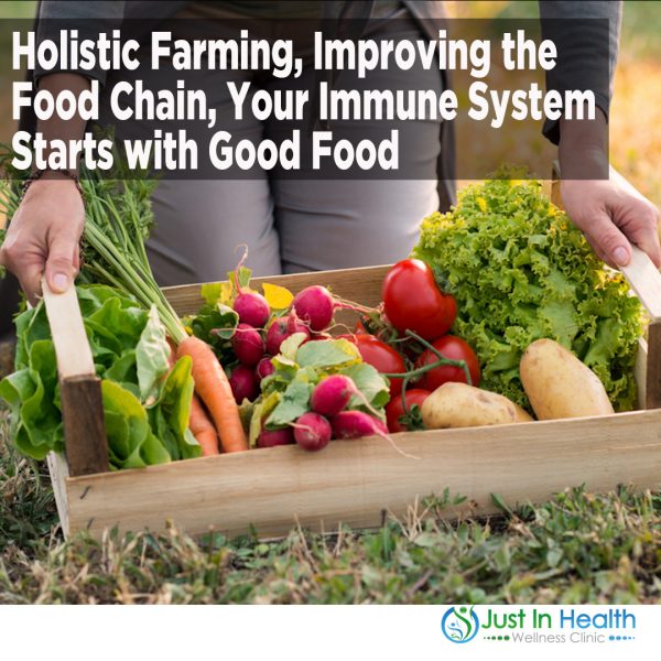 Holistic Farming, Improving the Food Chain, Your Immune System Starts with Good