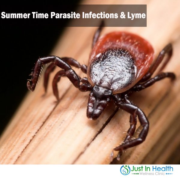 Summer time parasite