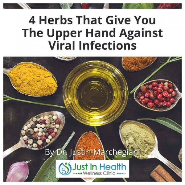 4 Herbs That Give You The Upper Hand Against Viral Infections