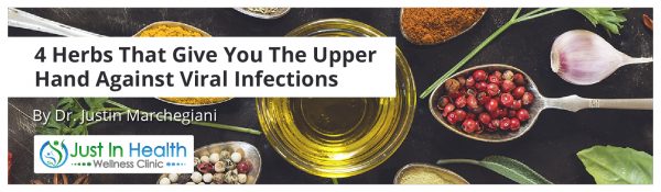 4 Herbs That Give You The Upper Hand Against Viral Infections