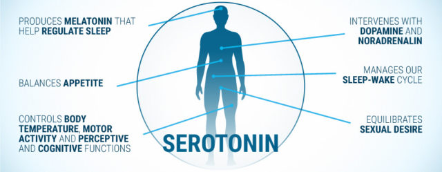 Nutrients To Help Make Serotonin To Help Improve Mood And Sleep ...