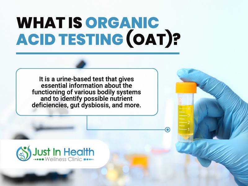 How to Address Your Fatigue and Gut Symptoms via Organic Acid Testing | Podcast #328