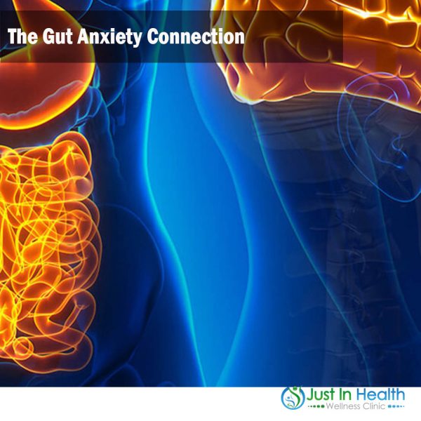 The Gut Anxiety Connection