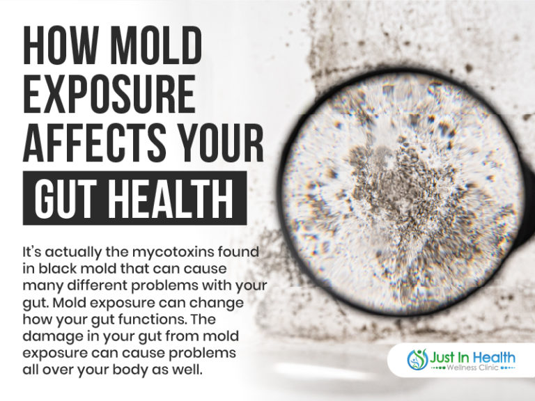 the-mold-gut-connection-how-your-digestive-issue-maybe-caused-by-mold