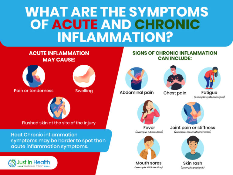 The Top 7 Root Causes of Inflammation with Dr. Jockers | Podcast #372