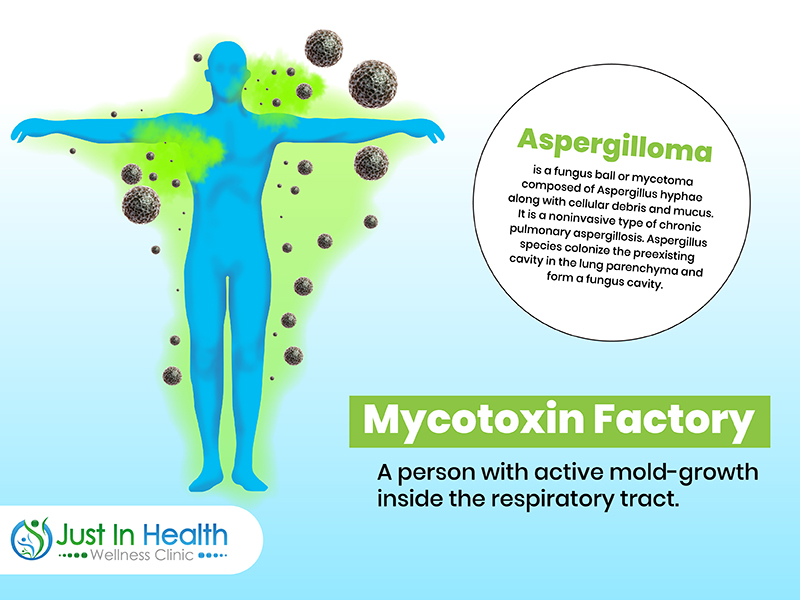 Mycotoxin Factory_Dr. Justin Marchegiani